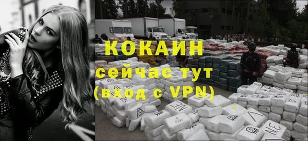 гидра Кущёвская
