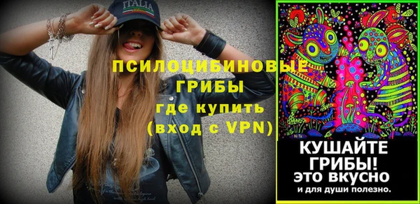гидра Кущёвская