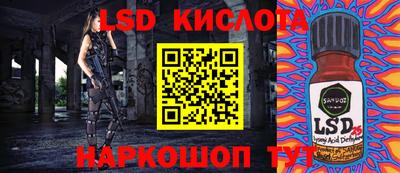 соль ск Кингисепп