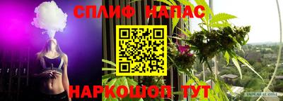 соль ск Кингисепп
