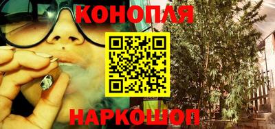 соль ск Кингисепп