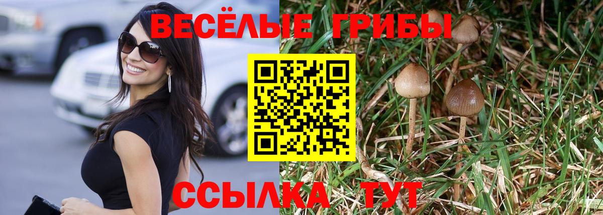 Псилоцибиновые грибы MAGIC MUSHROOMS  Вход с VPN  Псков 